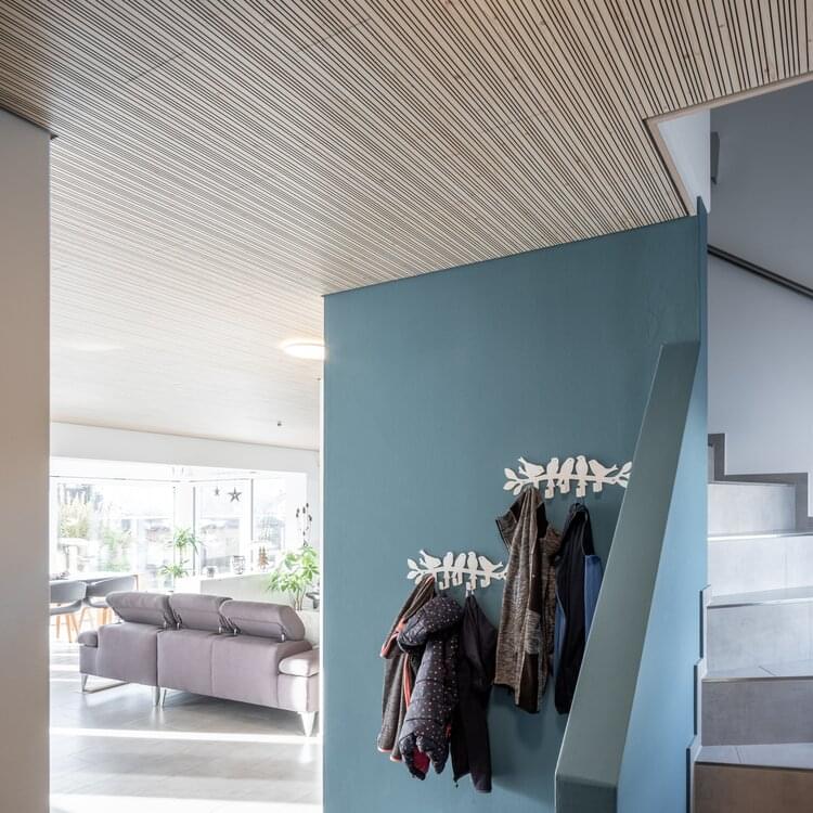 Wohnung / Zetzwil