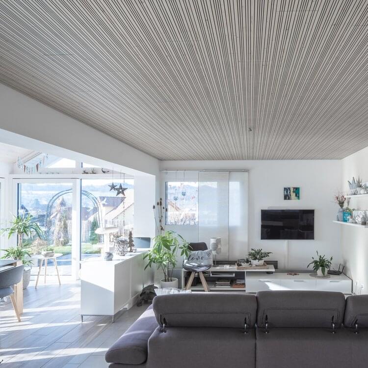 Wohnung / Zetzwil